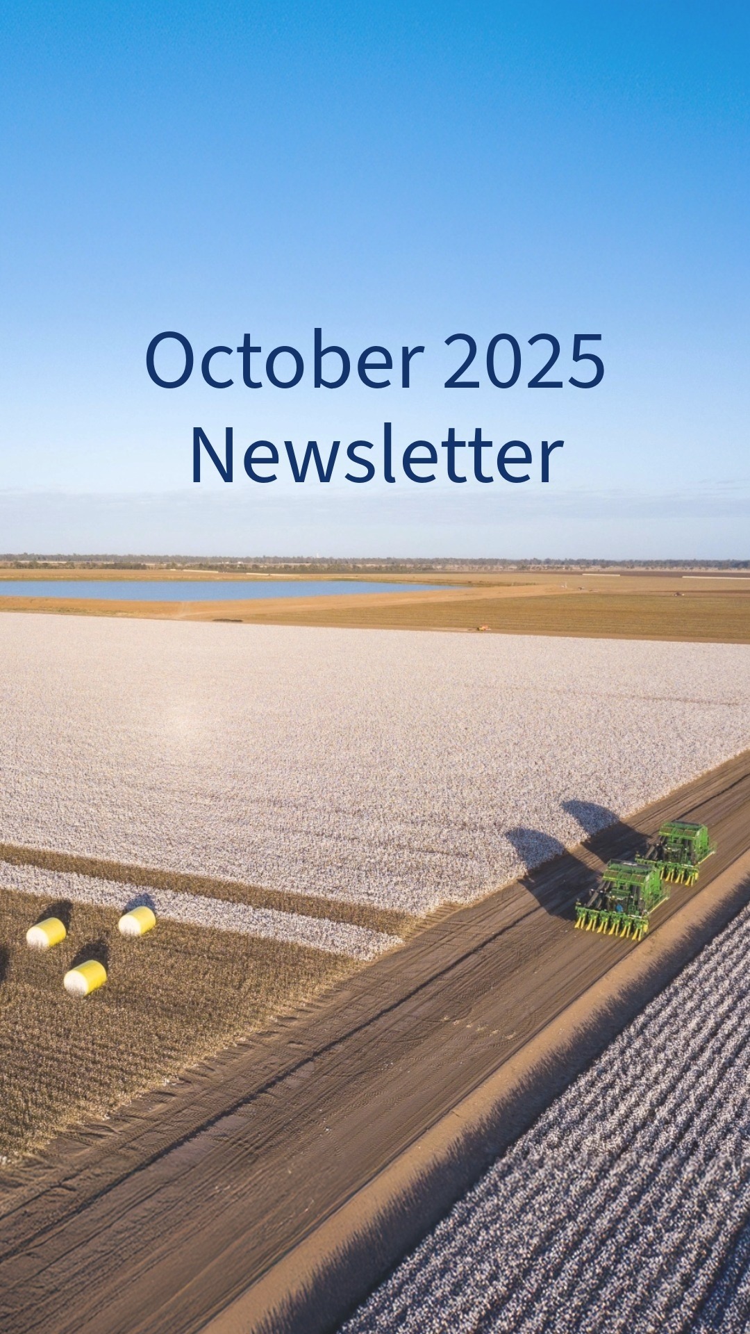 October 2025 Newsletter